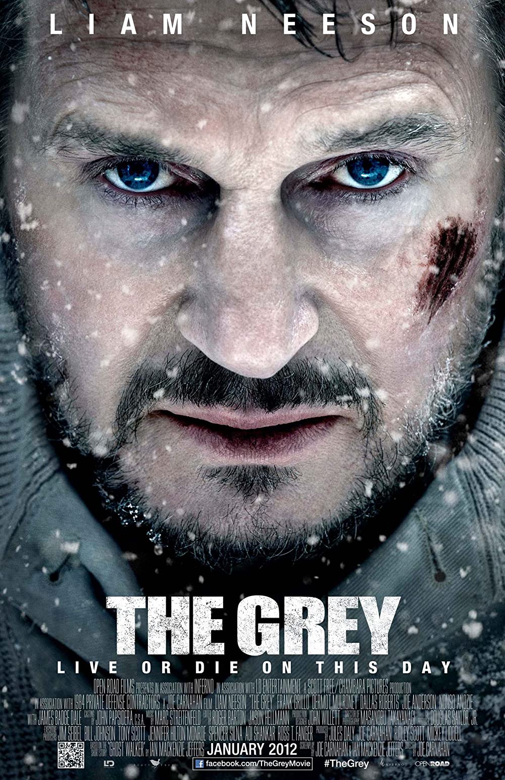 مشاهدة فيلم The Grey 2011 